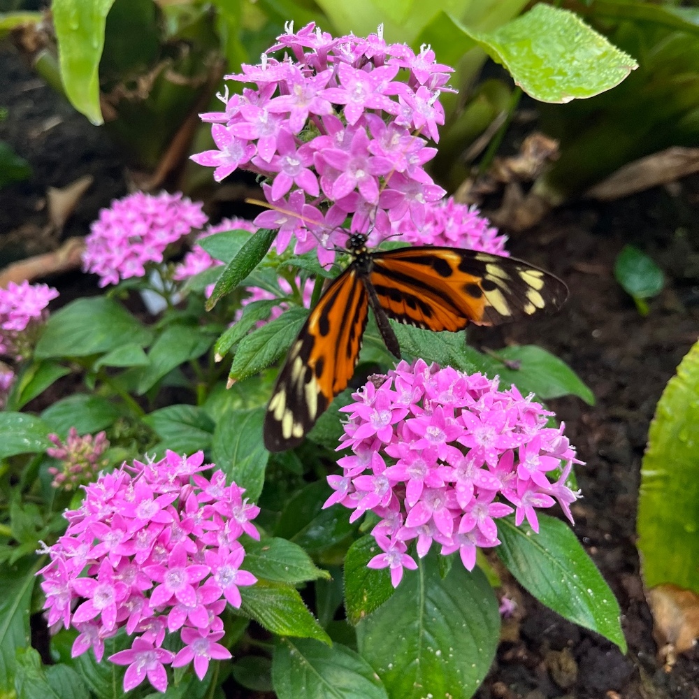 Meet your Posher, Danilo